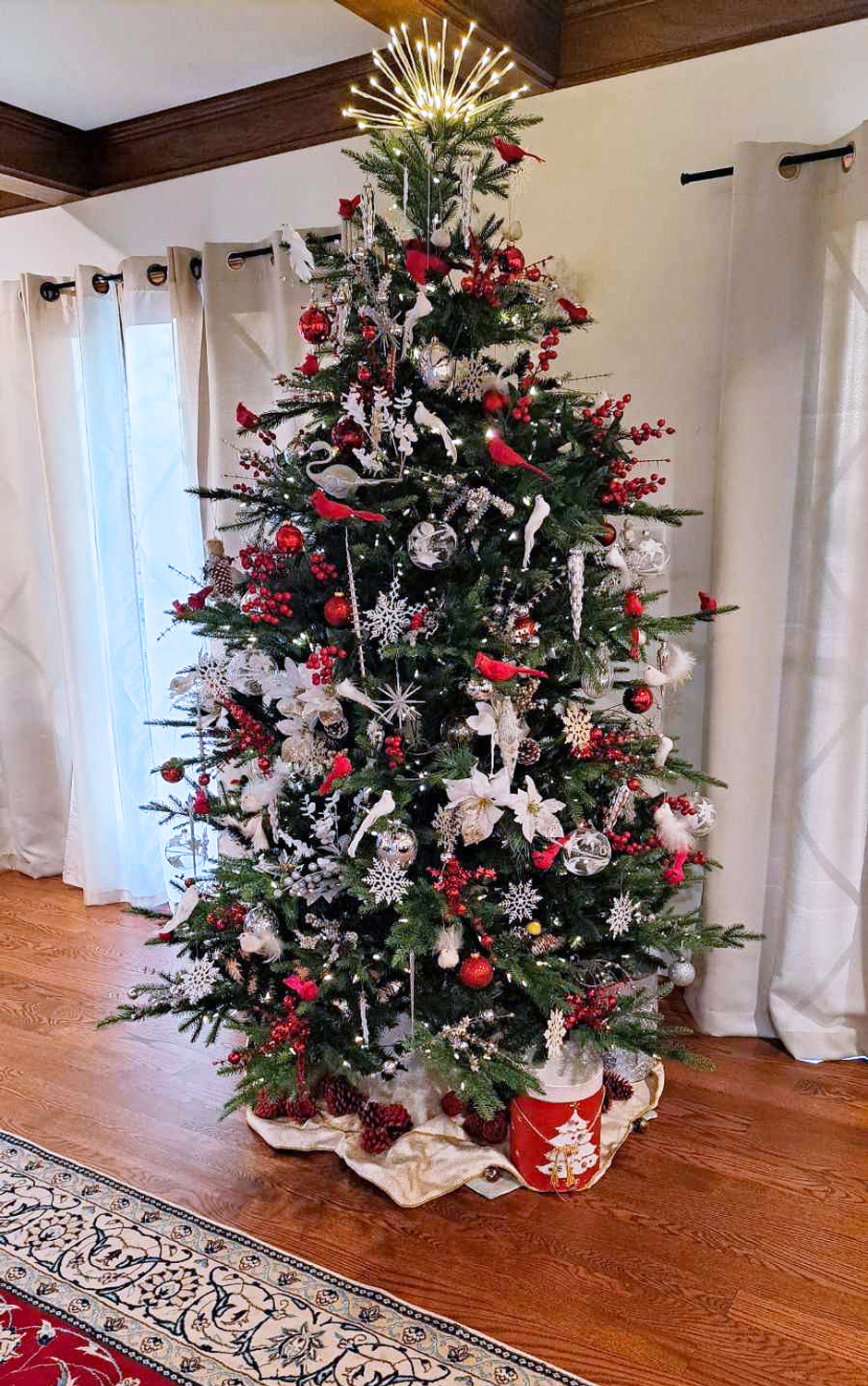 Balsam Fir - image 1