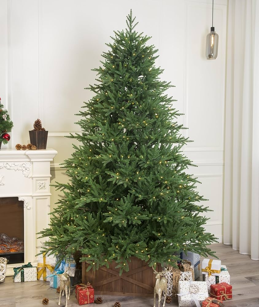 Balsam Fir - image 2