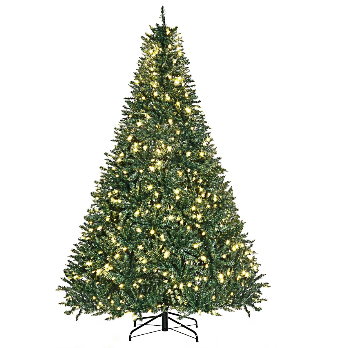 Douglas Fir - image 1