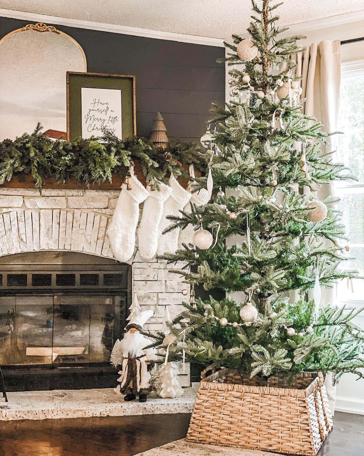King Noble Fir - image 1